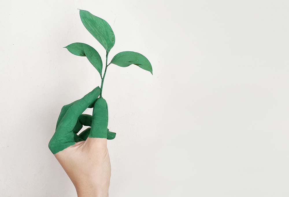 A person's hand with painted green fingers, holding three green leaves.