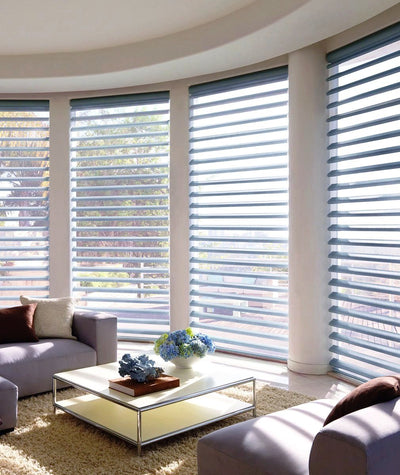 Hunter Douglas Window Treatments Pirouette Living Room