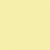 Benjamin Moore's paint color 2024-50 Jasper Yellow available at Gleco Paints.