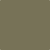 Benjamin Moore's paint color 2142-30 Mountain Moss available at Gleco Paints.