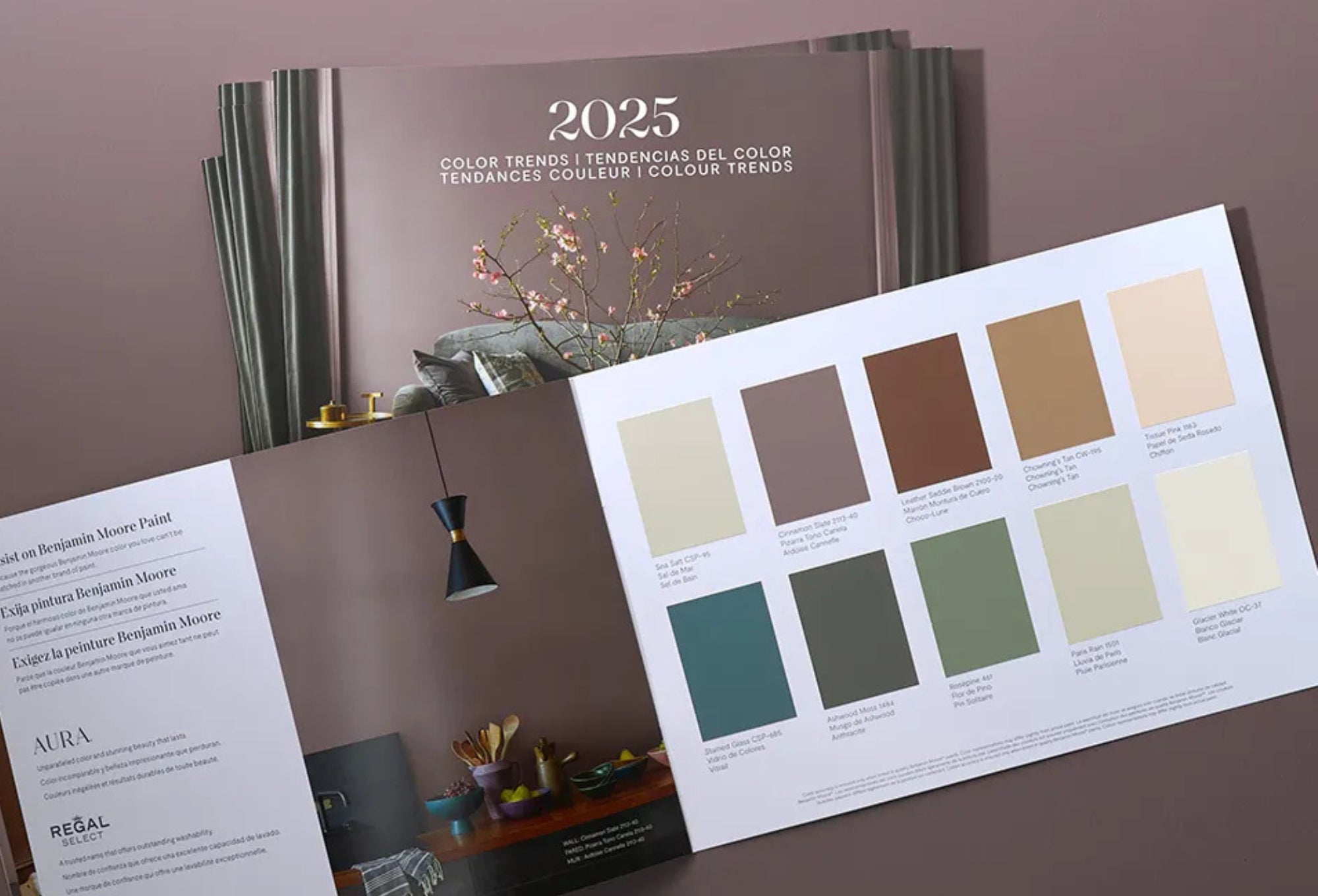 Benjamin Moore’s 2025 Pick, Cinnamon Slate 2113-40 | Gleco Paint
