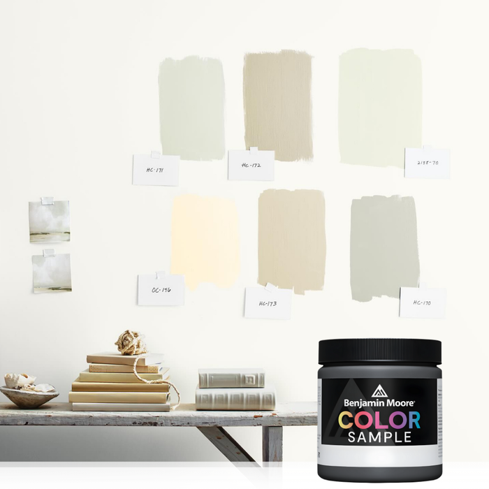 How to Sample Paint Colors Like a Pro with Benjamin Moore Color Samples