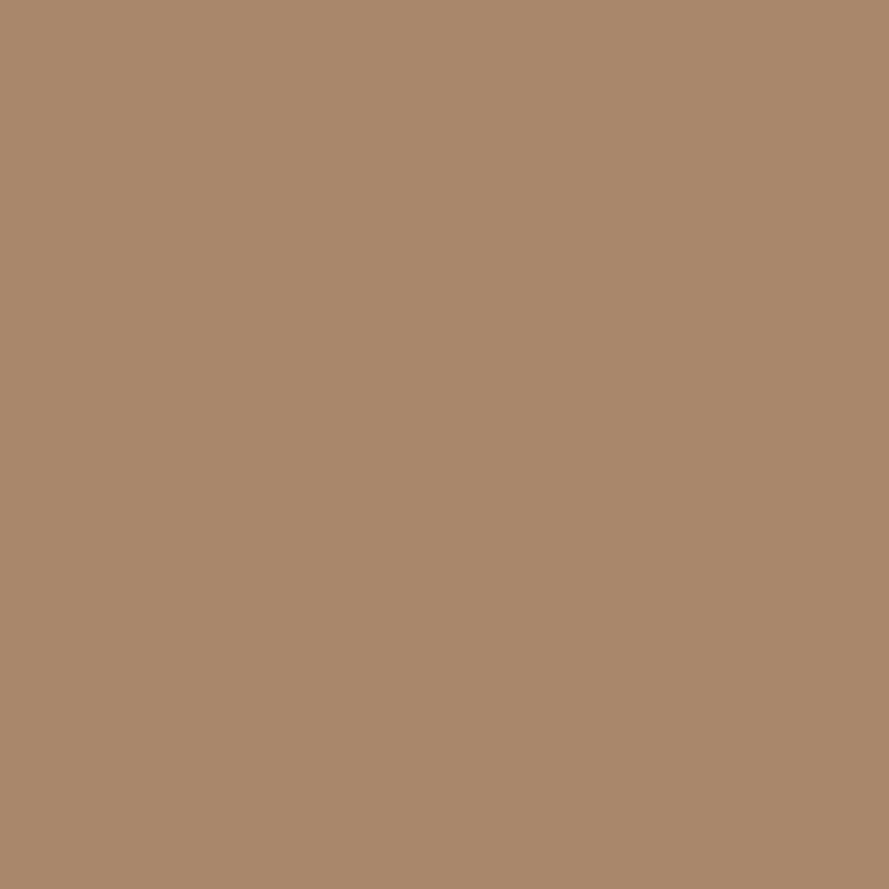 Benjamin Moore's CW195 Chowning's Tan Gleco Paints