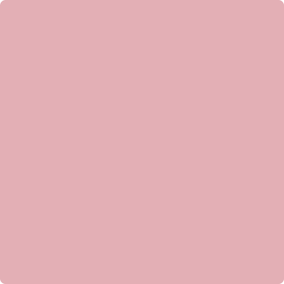 Benjamin Moore's paint color 2005-50 Pink Eraser available at Gleco Paints.