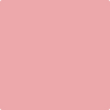 Benjamin Moore's paint color 2006-50 Pink Punch available at Gleco Paints.