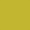 Benjamin Moore's paint color 2024-10 Chartreuse available at Gleco Paints.