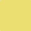 Benjamin Moore's paint color 2024-40 Yellow Finch available at Gleco Paints.