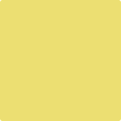 Benjamin Moore's paint color 2024-40 Yellow Finch available at Gleco Paints.