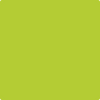 Benjamin Moore's paint color 2025-10 Bright Lime available at Gleco Paints.