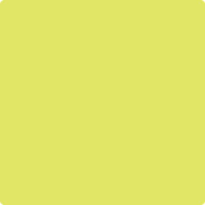 Benjamin Moore's paint color 2025-40 Limelight available at Gleco Paints.