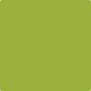 Benjamin Moore's paint color 2027-10 Dark Lime available at Gleco Paints.