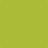 Benjamin Moore's paint color 2027-20 Spring Moss available at Gleco Paints.