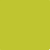 Benjamin Moore's paint color 2027-30 Electric Lime available at Gleco Paints.