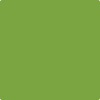 Benjamin Moore's paint color 2028-10 Iguana Green available at Gleco Paints.