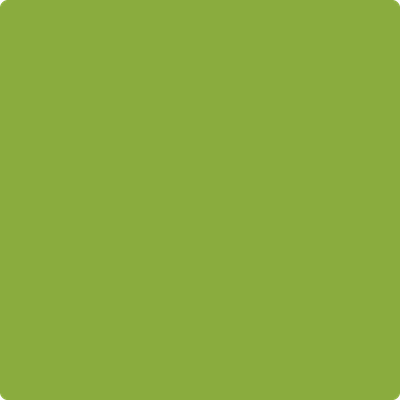 Benjamin Moore's paint color 2028-20 Douglas Fir available at Gleco Paints.
