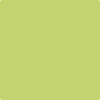 Benjamin Moore's paint color 2028-40 Pear Green available at Gleco Paints.