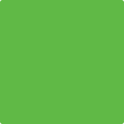 Benjamin Moore's paint color 2030-30 Lucky Charm Green available at Gleco Paints.