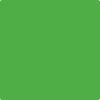 Benjamin Moore's paint color 2031-10 Neon Lime available at Gleco Paints.