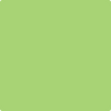 Benjamin Moore's paint color 2031-40 Spring Meadow Green available at Gleco Paints.