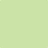 Benjamin Moore's paint color 2031-50 Key Lime available at Gleco Paints.