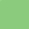 Benjamin Moore's paint color 2032-40 Citrus Green available at Gleco Paints.