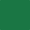 Benjamin Moore's paint color 2035-20 Cactus Green available at Gleco Paints.