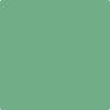 Benjamin Moore's paint color 2035-40 Stokes Forest Green available at Gleco Paints.