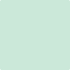 Benjamin Moore's paint color 2036-60 Surf Green available at Gleco Paints.