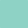 Benjamin Moore's paint color 2039-50 Mermaid Green available at Gleco Paints.