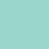 Benjamin Moore's paint color 2041-50 Sea Mist Green available at Gleco Paints.