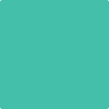 Benjamin Moore's paint color 2042-40 Miami Green available at Gleco Paints.