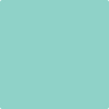 Benjamin Moore's paint color 2042-50 Caribe Green available at Gleco Paints.