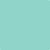 Benjamin Moore's paint color 2043-50 South Beach available at Gleco Paints.