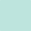 Benjamin Moore's paint color 2043-60 Summer Green available at Gleco Paints.
