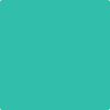 Benjamin Moore's paint color 2045-40 Bahama Green available at Gleco Paints.