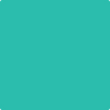 Benjamin Moore's paint color 2046-40 Green Sponge available at Gleco Paints.