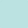 Benjamin Moore's paint color 2046-60 Misty Teal available at Gleco Paints.