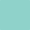 Benjamin Moore's paint color 2047-50 Shore House Green available at Gleco Paints.