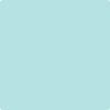 Benjamin Moore's paint color 2048-60 Jamaican Aqua available at Gleco Paints.