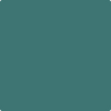 Benjamin Moore's paint color 2050-30 Newport Green available at Gleco Paints.
