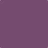 Benjamin Moore's paint color 2073-30 Passion Plum available at Gleco Paints.