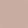 Benjamin Moore's paint color 2095-50 Just Beige available at Gleco Paints.