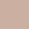 Benjamin Moore's paint color 2096-50 Light Cappuccino available at Gleco Paints.