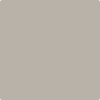 Benjamin Moore's paint color 2108-50 Silver Fox available at Gleco Paints.