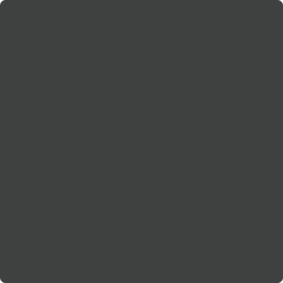 Benjamin Moore's paint color 2125-10 Black Panther available at Gleco Paints.