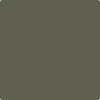 Benjamin Moore's paint color 2138-30 Mohegan Sage available at Gleco Paints.