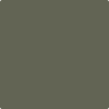 Benjamin Moore's paint color 2140-30 Dark Olive available at Gleco Paints.
