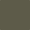 Benjamin Moore's paint color 2141-20 Cabbage Patch available at Gleco Paints.