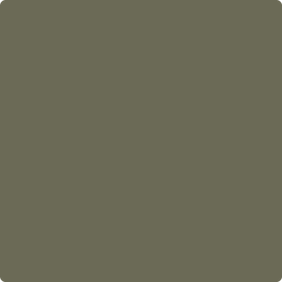 Benjamin Moore's paint color 2141-30 Army Patch available at Gleco Paints.