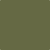 Benjamin Moore's paint color 2144-10 Guacamole available at Gleco Paints.